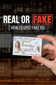 California Fake ID(pic4)