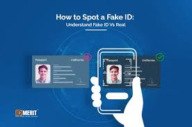 fake ID technology