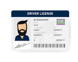 Get Fake Driver License