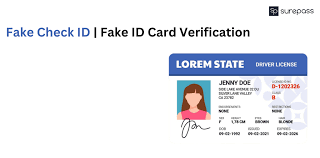 Customized Illinois Fake ID