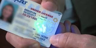 Buy Florida Fake ID