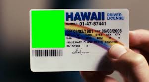 online fake ID